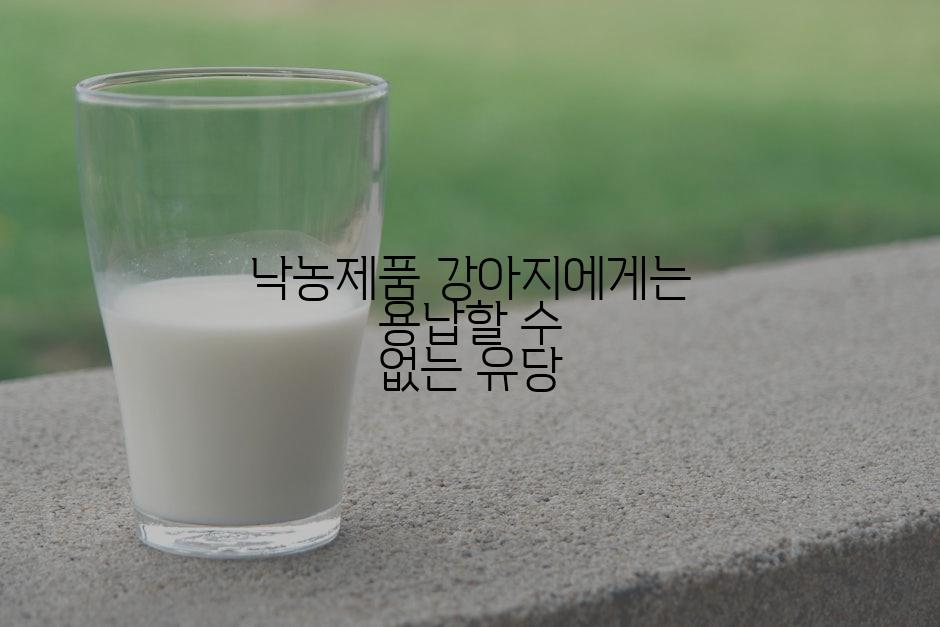 낙농제품 강아지에게는 용납할 수 없는 유당
