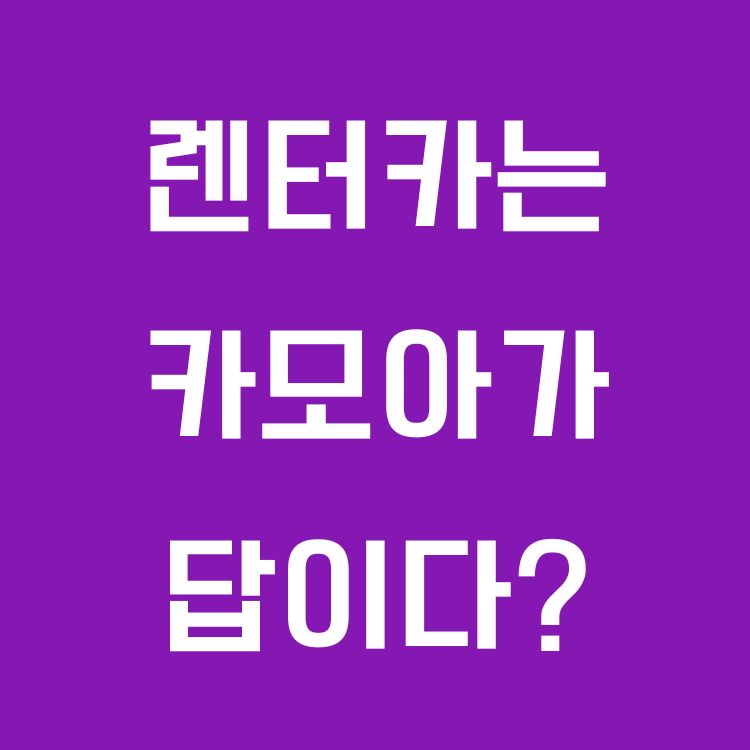 국내외 렌터카는 카모아?! 실시간 가격비교, 최저자 보장제, 옵션 선택, 사용자중심 플랫폼