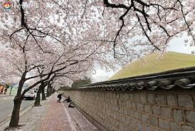 숙박세일페스타