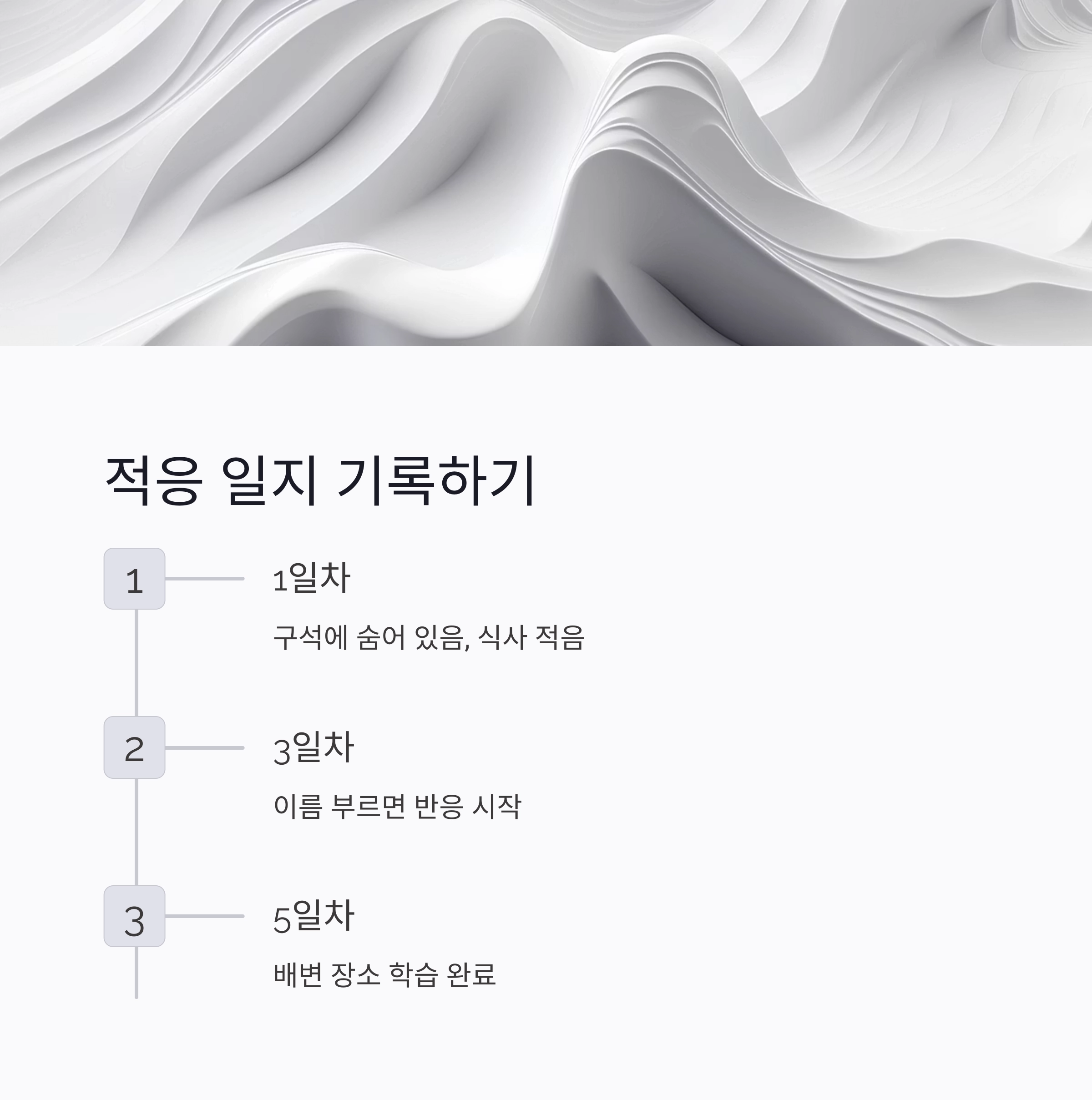 입양 후 첫 일주일, 반려동물과 친해지는 마법의 시간