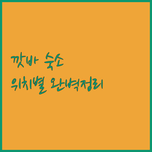 하이퐁 깟바섬 여행 숙소 위치별 장점..
