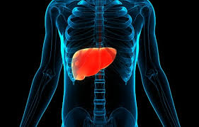 간이 나쁘면 나타나는 증상 간경화 초기증상&amp;#44; 치료법