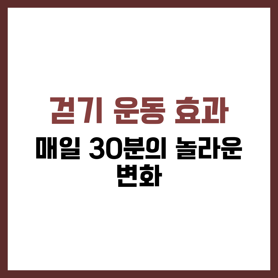 걷기 운동 효과
