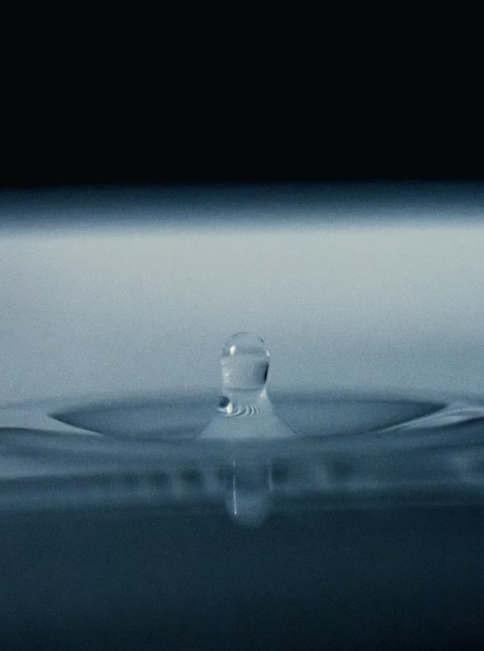 장마철 곰팡이와의 전쟁: 제습기 24시간 돌리고 코 막힘 줄어든 후기