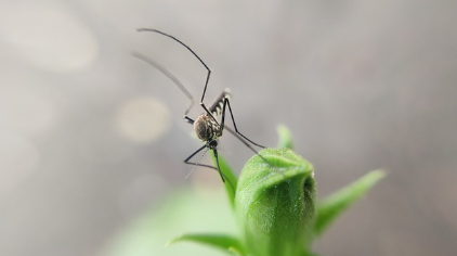 미스터트롯3 전국투어콘서트 예매 취소 방법 