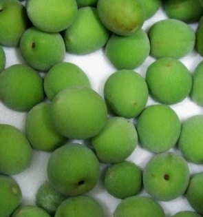 매실 효능과 부작용 고르는법 칼로리