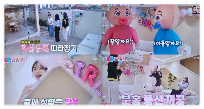 젠더리빌 파티