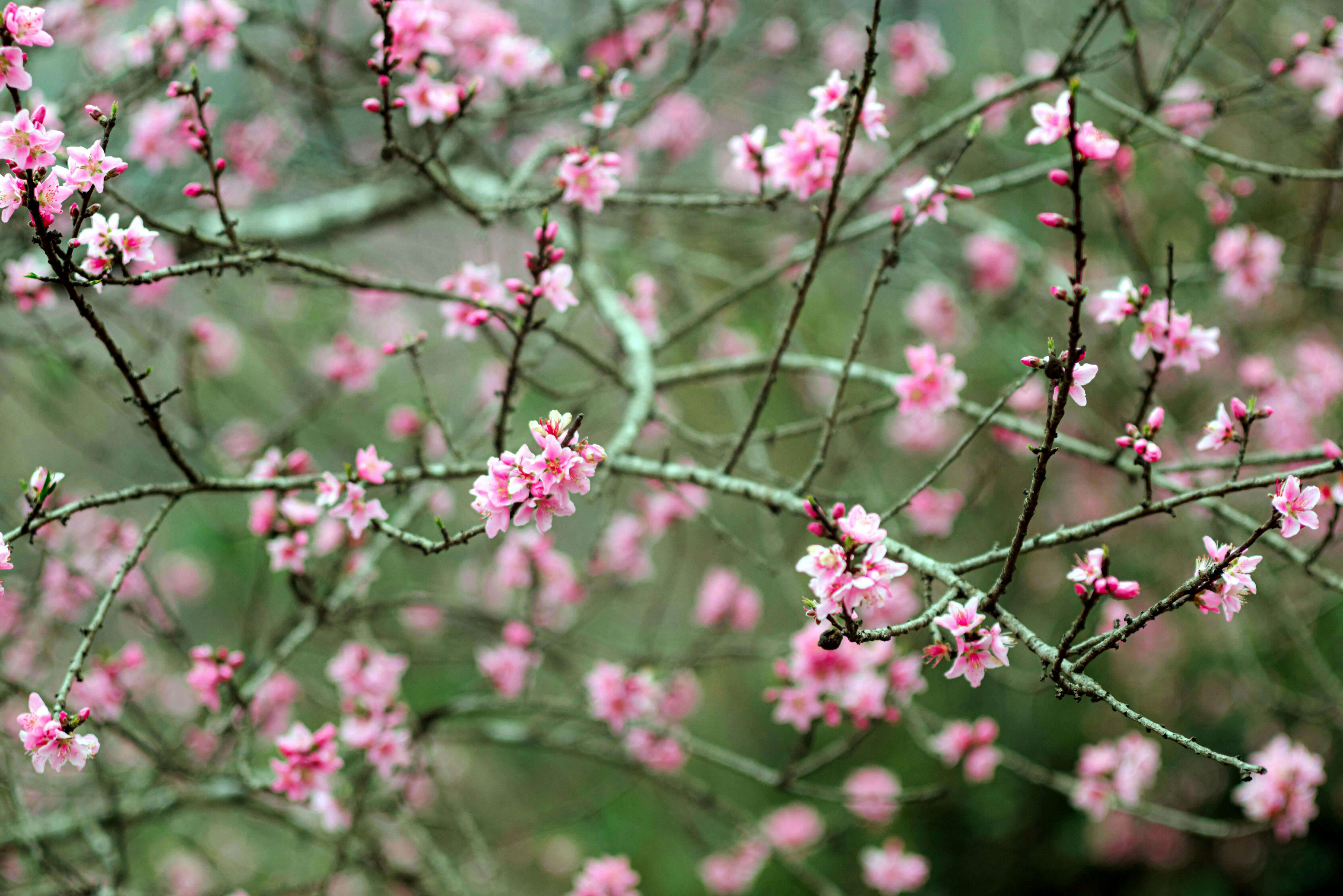 춘곤증 원인과 해결 방법&amp;#44; 봄철 피로가 계속되는 이유