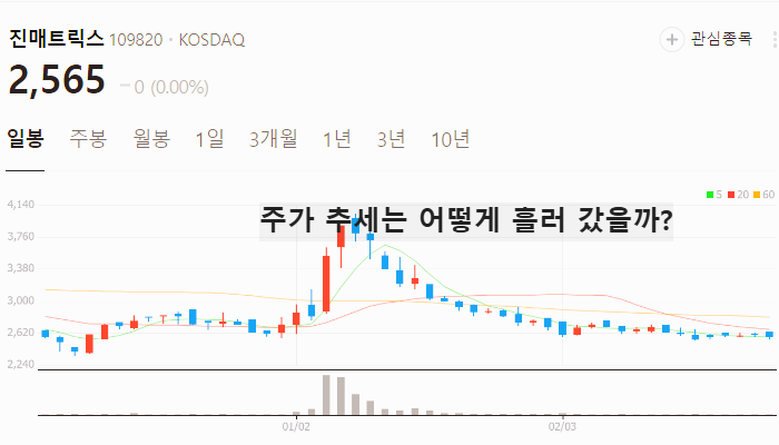 박쥐 코로나 관련주 대장주 테마주 TOP7