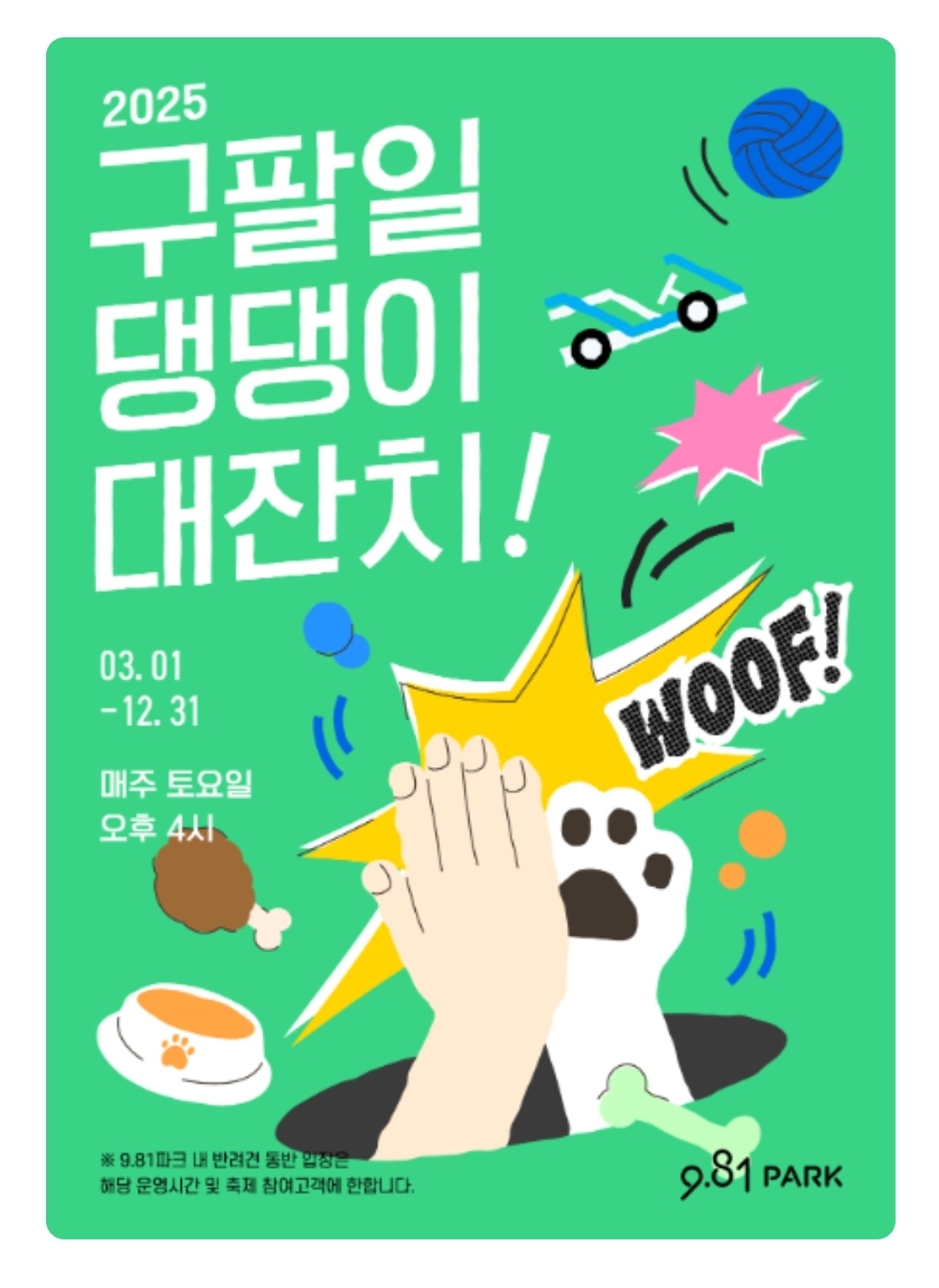 제주 구팔일 댕댕이 대잔치