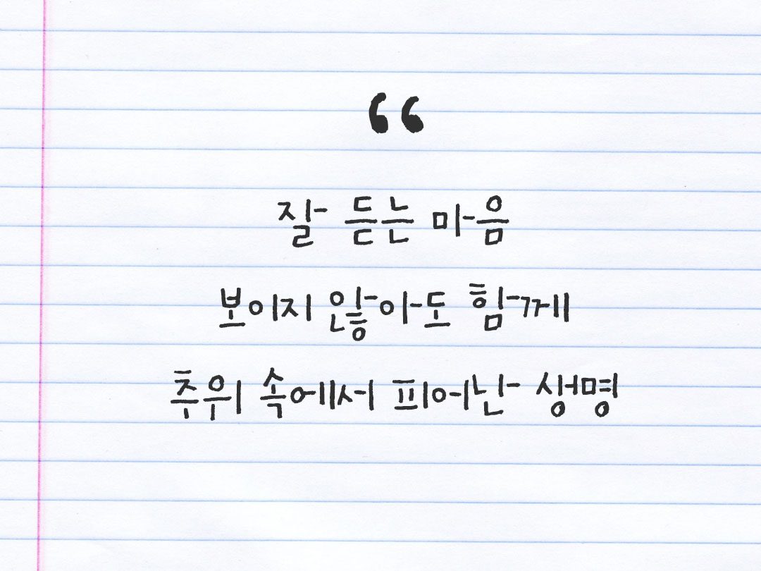 2026년 1월 23일 피어나네 감사노트｜일상을 행복으로 바꾸는 기록 하루 3줄 감사일기