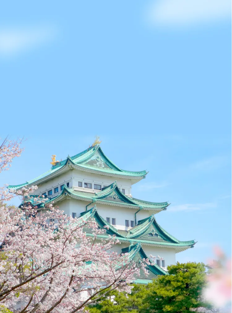 나고야 여행코스 여름에 가볼만한 명소 3곳 추천 일정표_6