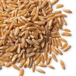 카무트란 무엇인가?