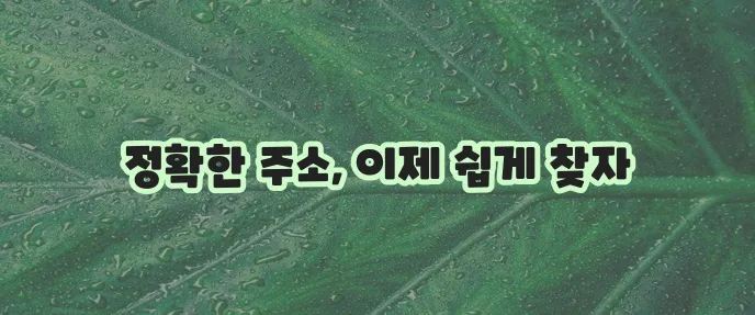 지번 주소 도로명 주소 변환