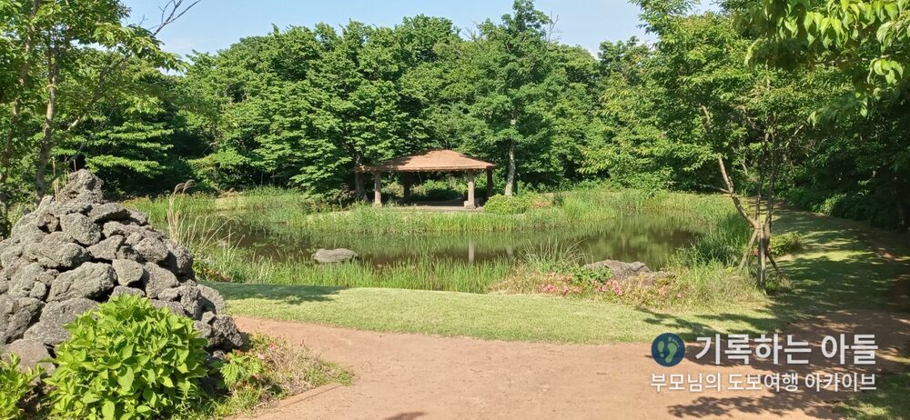 교래자연휴양림 초정 연못 전경
