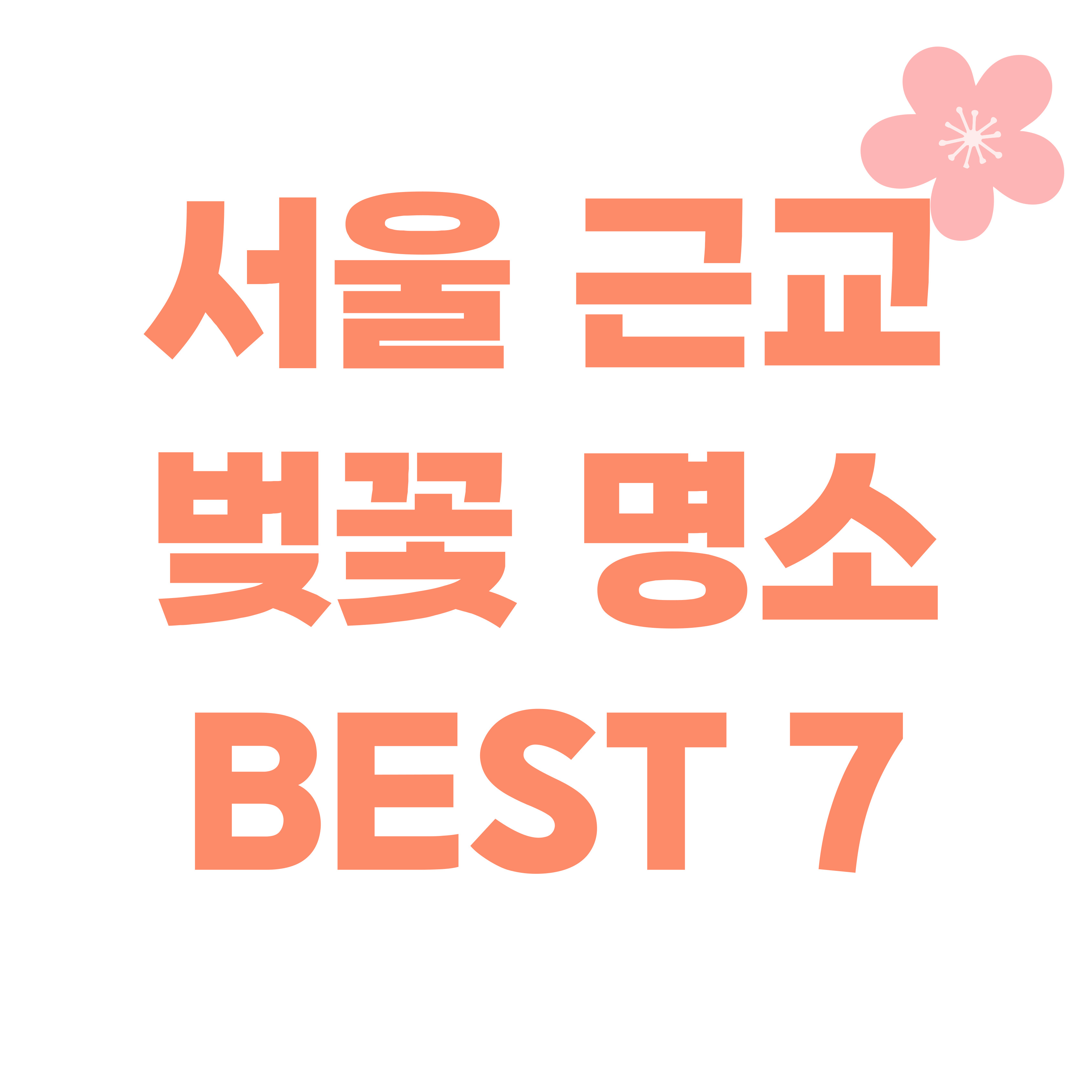 서울 근교 벚꽃 명소 BEST 5