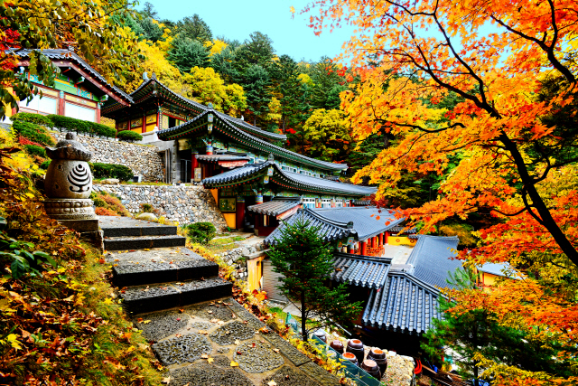 오대산 등산코스 추천