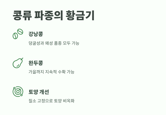 6월에 심는 밭작물 &amp;#124; 늦은 여름까지 수확하는 비법 2