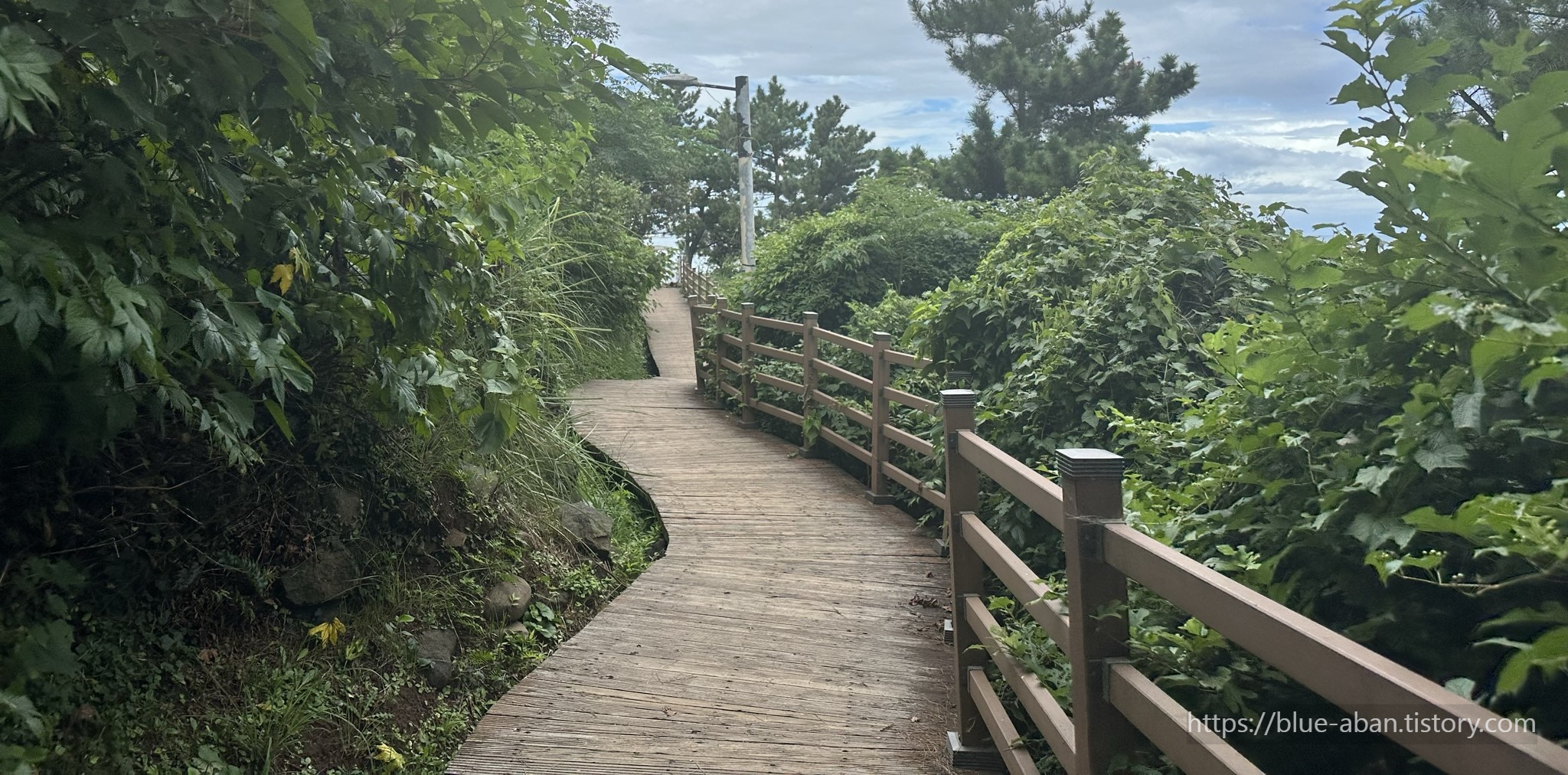 도두봉 산책로