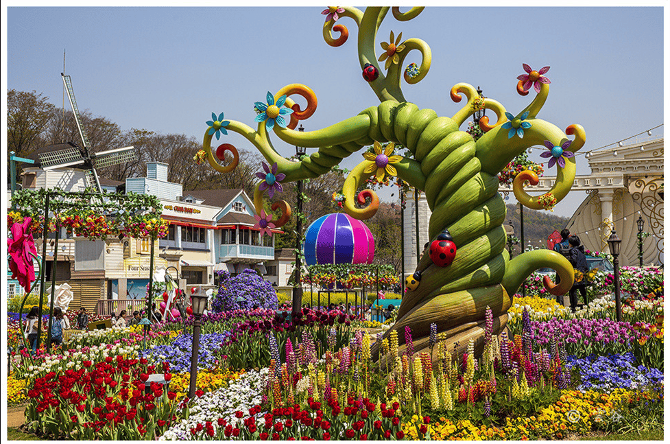 에버랜드 튤립 축제