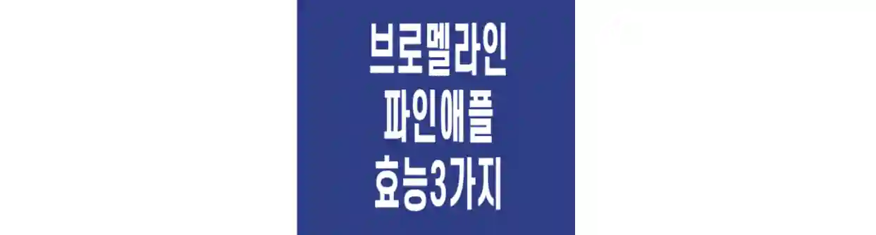 브로멜라인-파인애플-효능