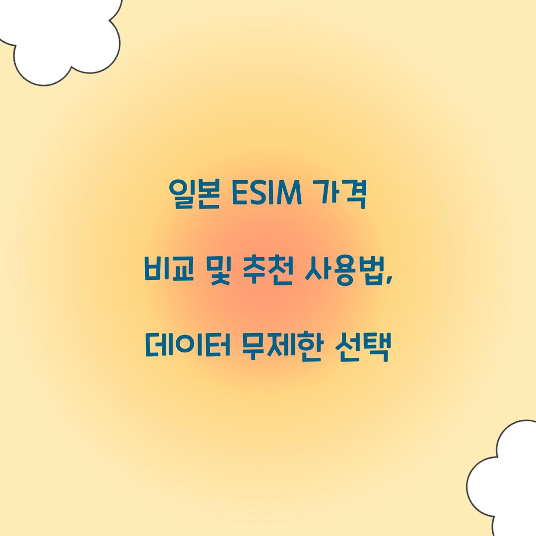일본 ESIM 가격