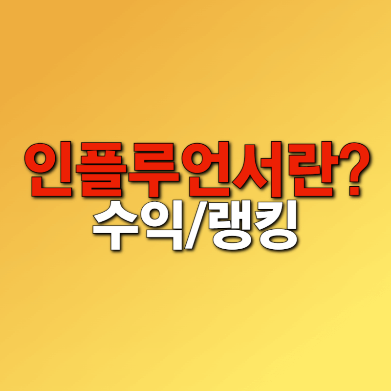 인플루언서 뜻 수익 랭킹