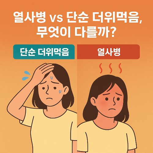 열사병과단순더위먹음의구별방법
