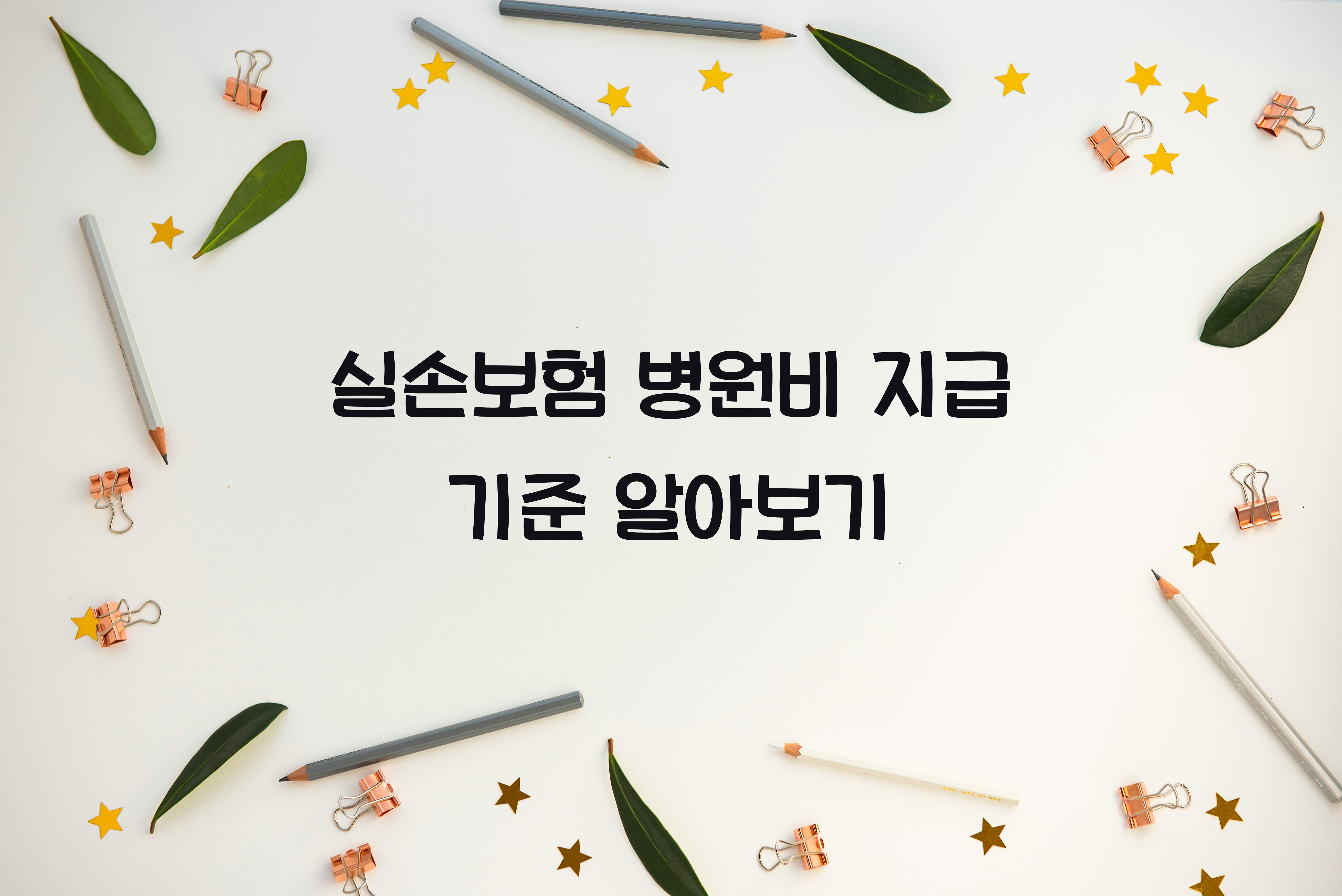 실손보험 병원비 지급 기준