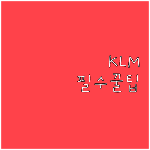 KLM 추가 수하물 사전 구매가 저렴..