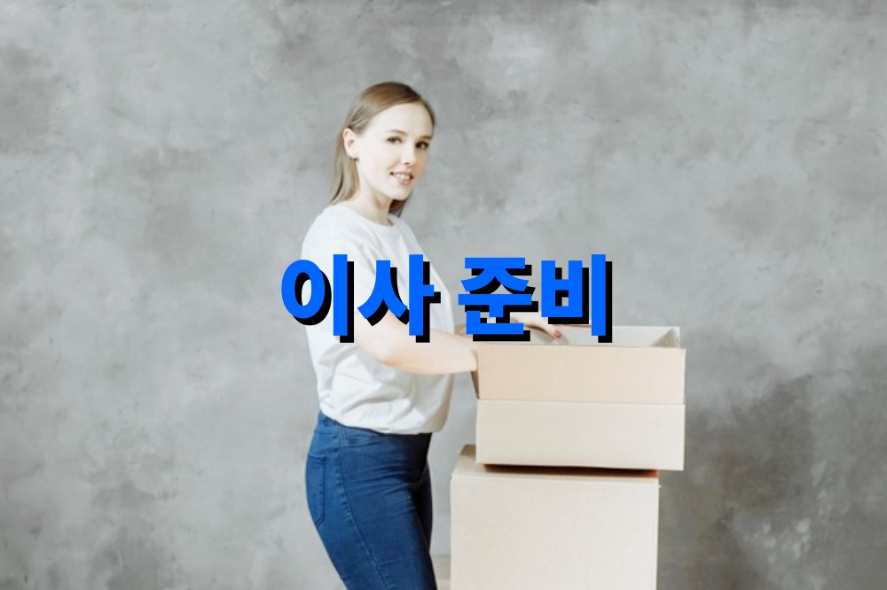 이사 준비 기간별 체크포인트