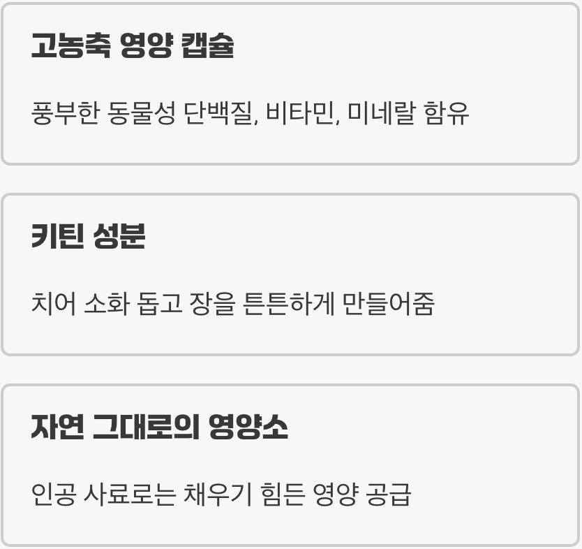 성장을 돕는 살아있는 영양 캡슐