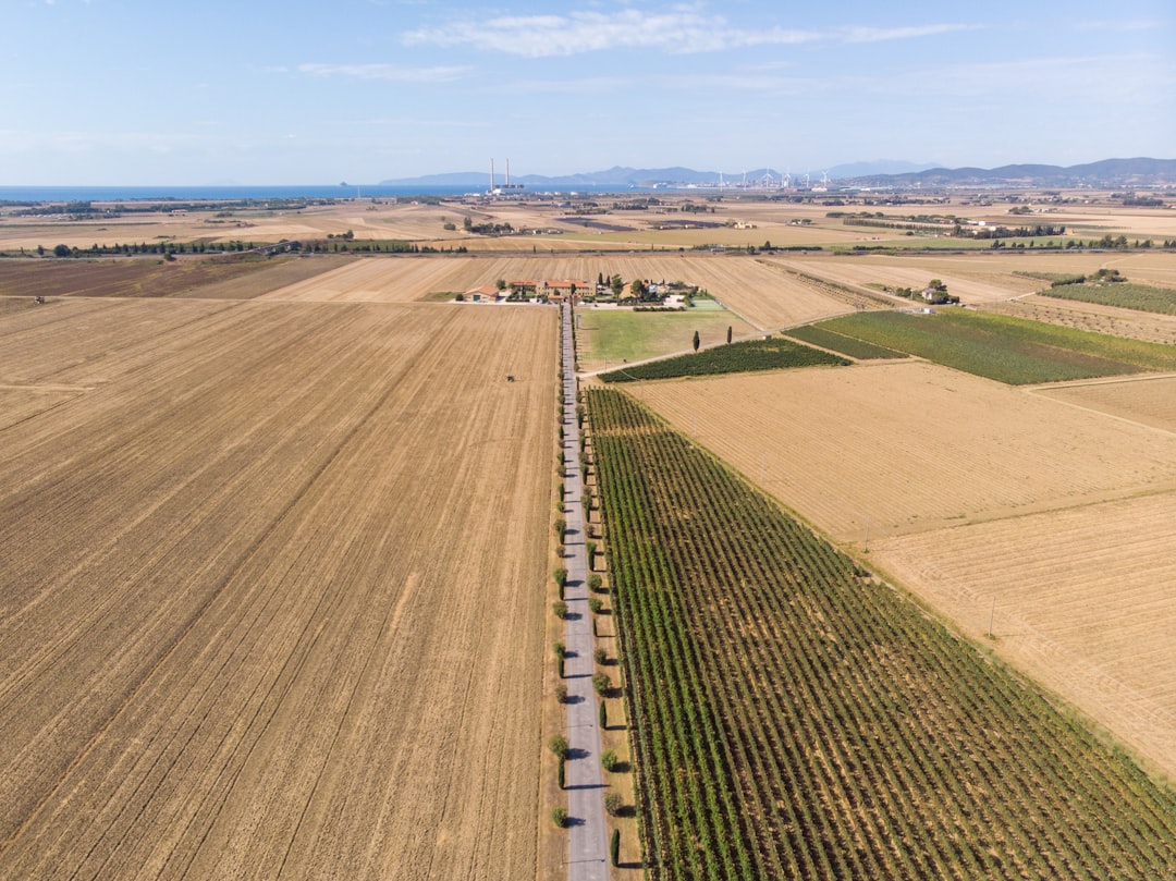 Agricultural pension
