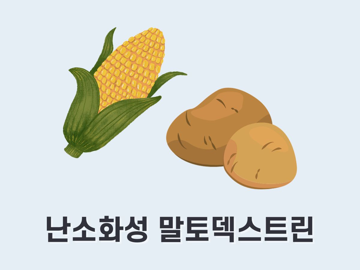 난소화성 말토덱스트린
