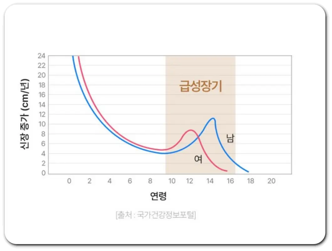 급성장기-성별-연령별-그래프