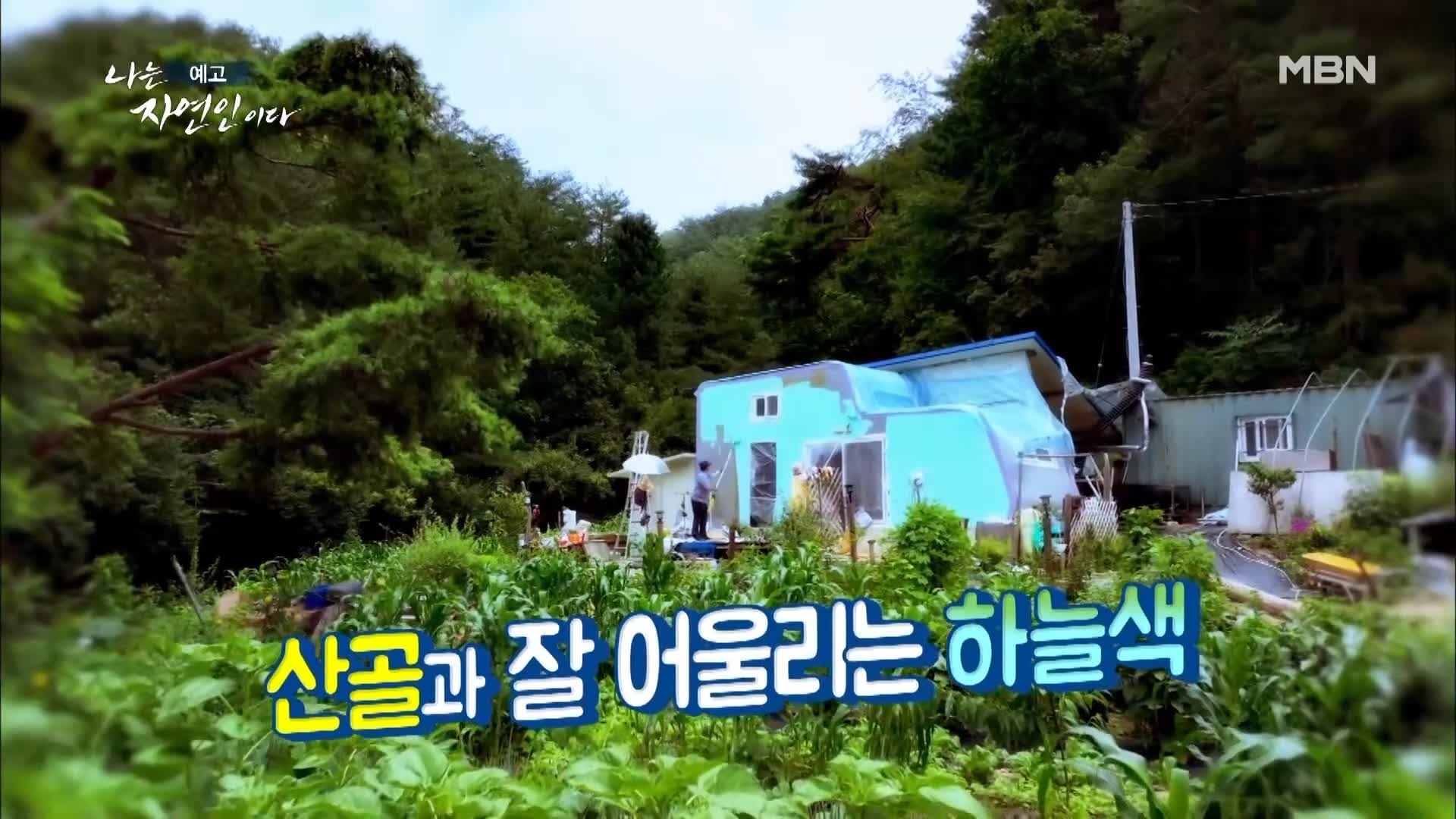 이승윤 윤택 나는 자연인이다 516회 나 자신을 위한 선택을 하기로 결심한 세 번째 스무 살 행복을 쓰는 자연인 차선옥 소개 및 출연 다시보기