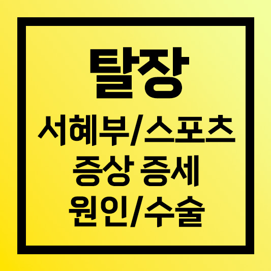 탈장 증상
