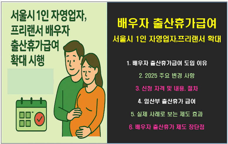 서울시 1인 자영업자, 프리랜서 배우자 출산휴가급여 확대 시행! 사실혼은?