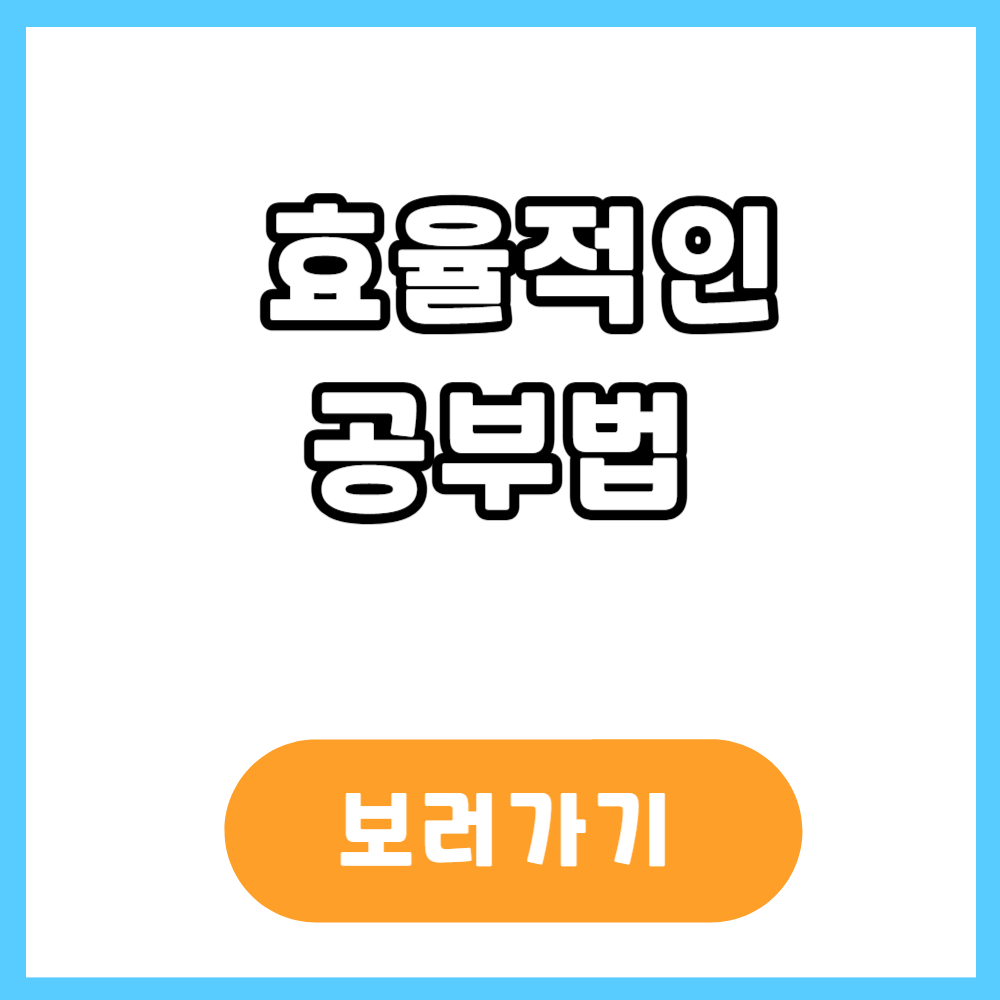 효율적인 공부법