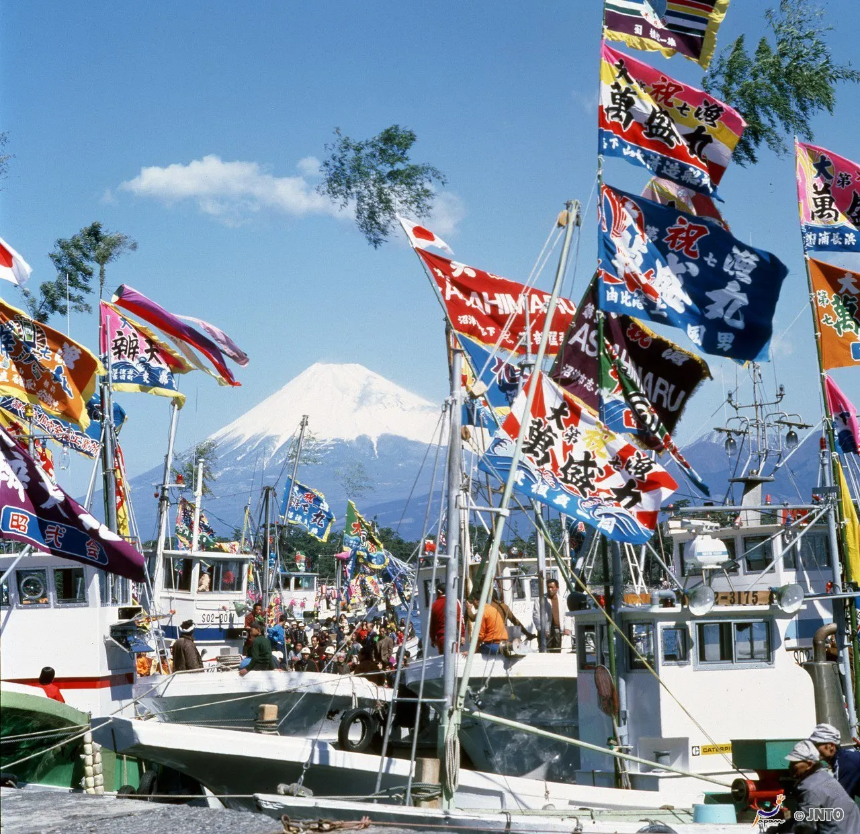 후지산 제대로 보는 법｜가와구치호부터 아라쿠라야마까지 완벽 가이드