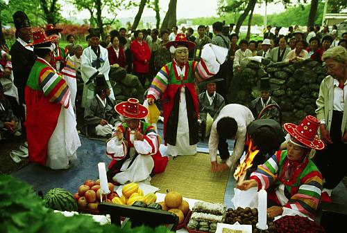강릉 CGV 영화관 위치부터 할인까지 완벽 가이드 확인하러 가기
