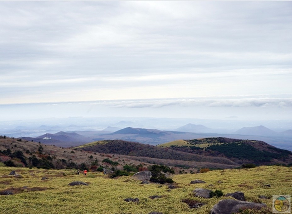 VISIT JEJU 한라한 영실코스 