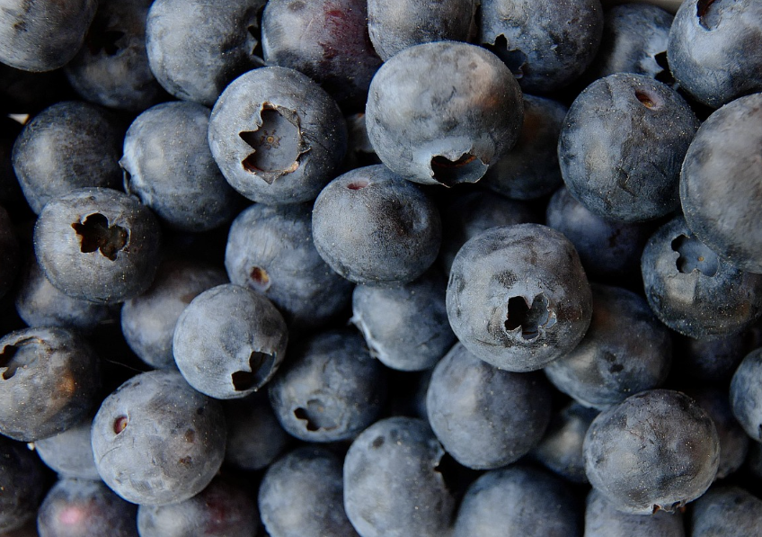 방광염에 좋은 음식