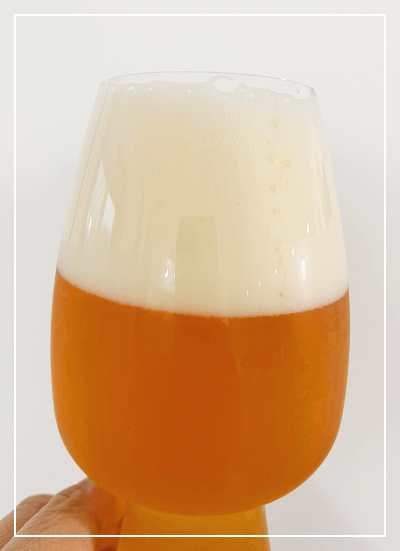 홉코스터 아이피에이(IPA)