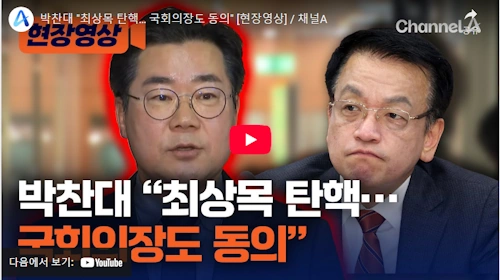 더불어 민주당 박찬대 원내대표 탄핵