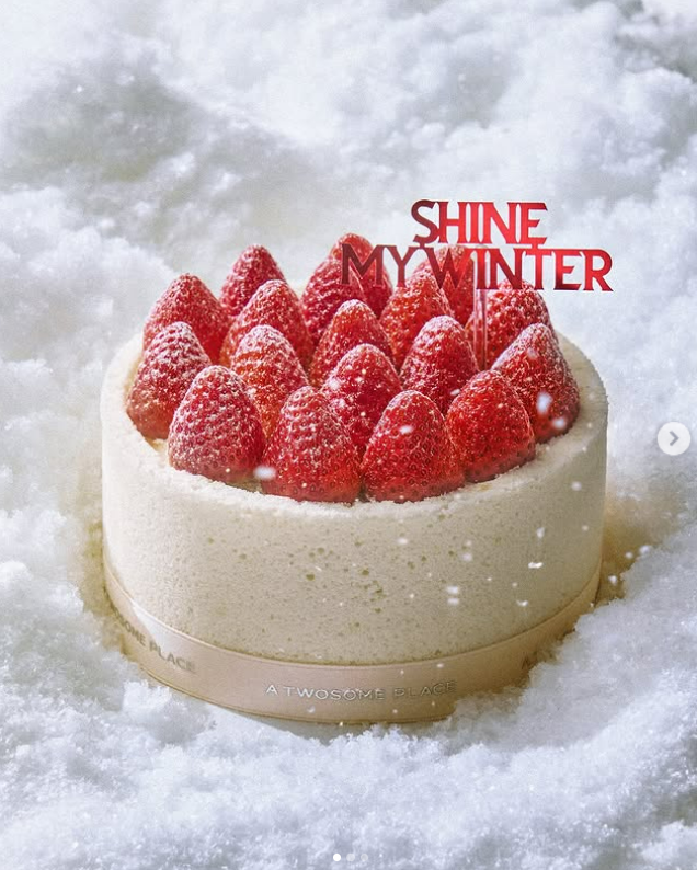 투썸플레이스 크리스마스 케이크 종류