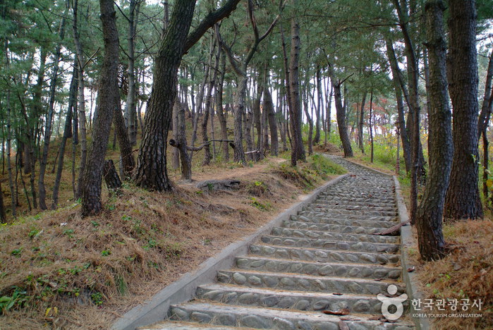 울진 가볼만한곳 베스트10