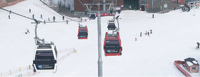 2025/2026 오투리조트 스키장 시즌권 렌탈 할인 완벽 가이드