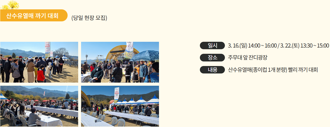 산수유꽃축제