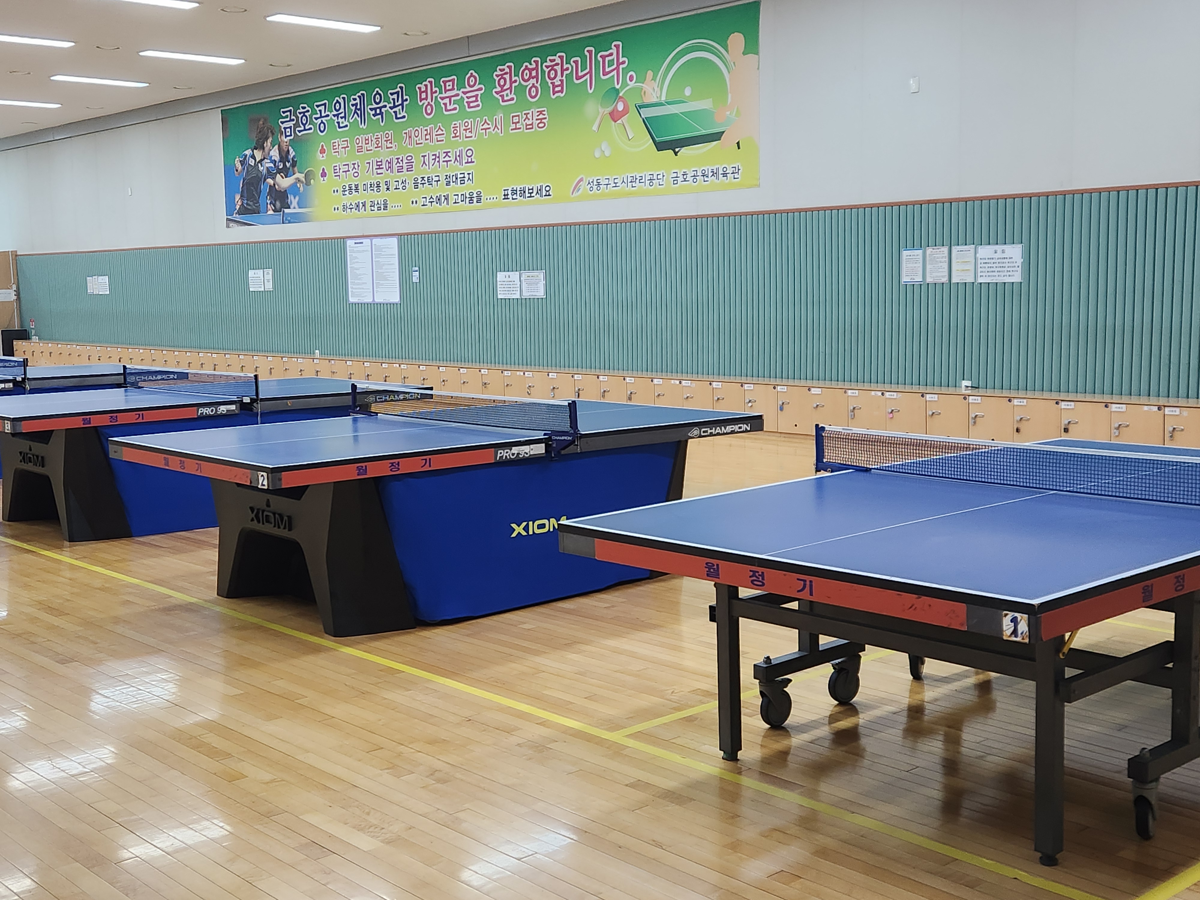 탁구 전용 구장, 금호공원체육관 내부